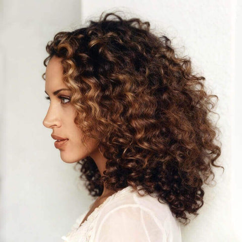 Brown Highlight Curly Wigs Closure Lace Wig Glueless Human Hair Wigs
